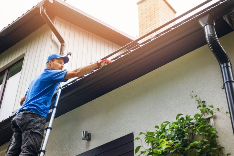 Gutter System Inspection